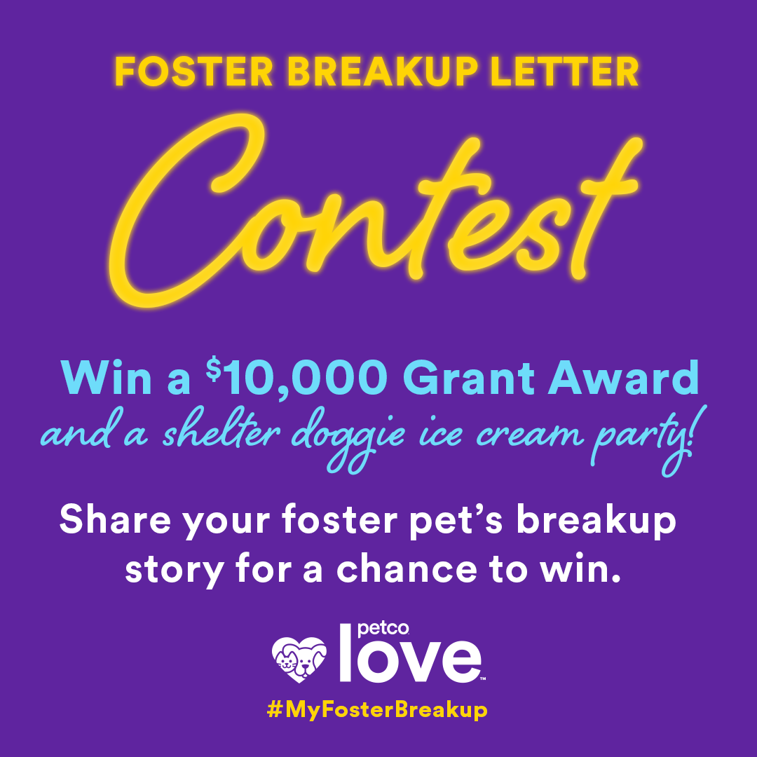 Foster Breakup Letter Contest
