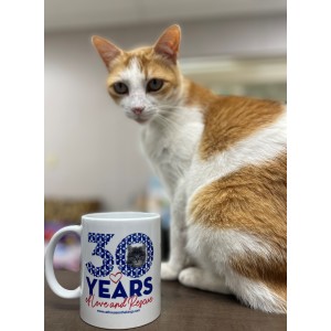 30th Anniversary Coffee Mug 