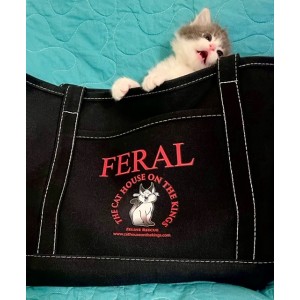 *NEW Canvas FERAL Yacht Tote Bag