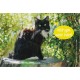WIsh You Were Here Postcards